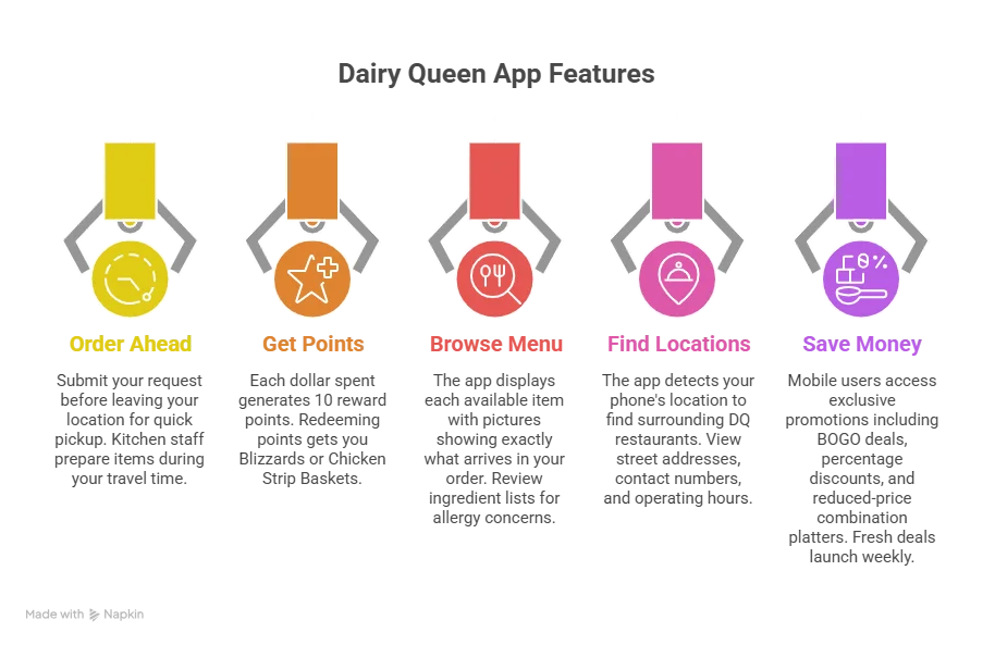 Dq app Top Features That Make the App Worth Downloading info graphics