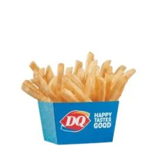 Dairy Queen Kids Fries with golden crispy seasoned french fries in a kids meal size portion